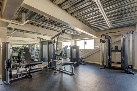 A gym with a variety of equipment including a squat rack, a bench press, and a leg press machine.