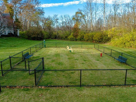 Lake Forest apartments fenced dog park