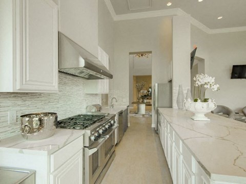 a white kitchen with a stove and a sink