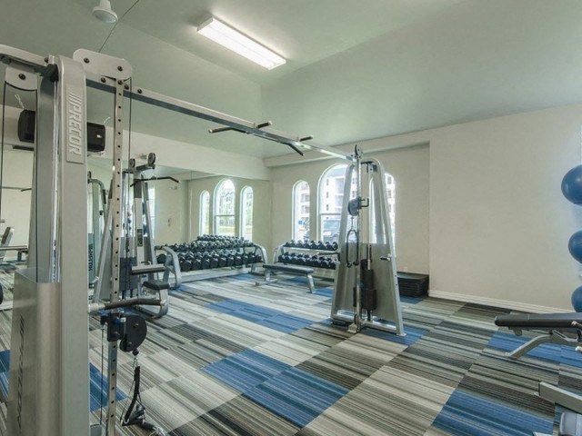 Fitness Center With Modern Equipment at Berkshire Woodland, Conroe, Texas