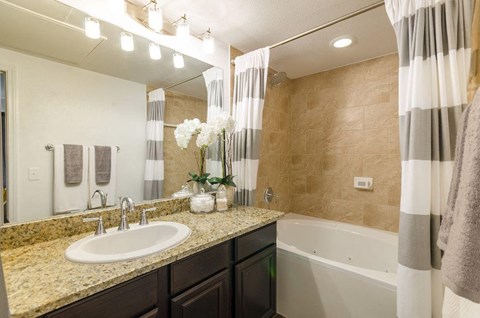 Walk-In Showers And Garden Tubs at Berkshire Lakeway, Lakeway, TX, 78738