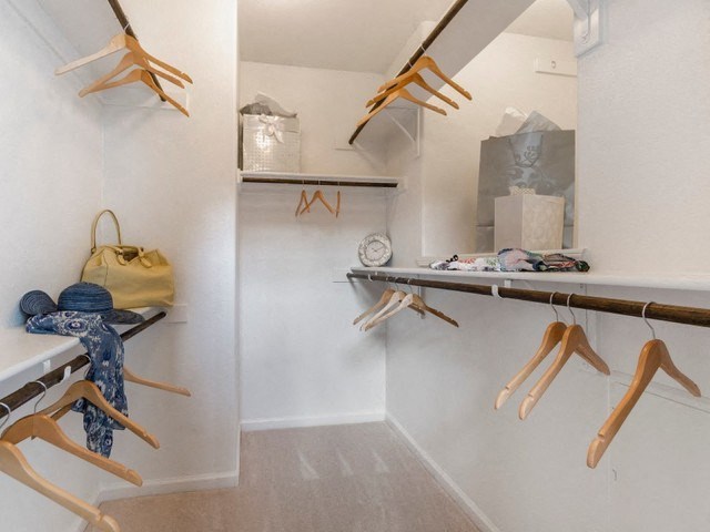 Walk-In Closets With Built-In Shelving at Villages of Briggs Ranch, San Antonio, TX, 78245