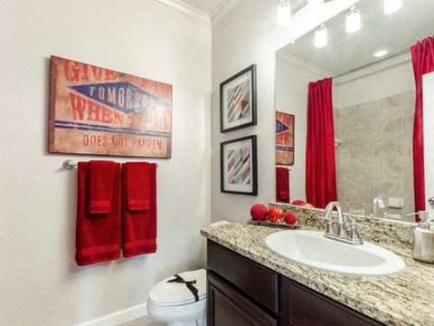 Renovated Bathrooms With Quartz Counters at Villages of Briggs Ranch, San Antonio, 78245