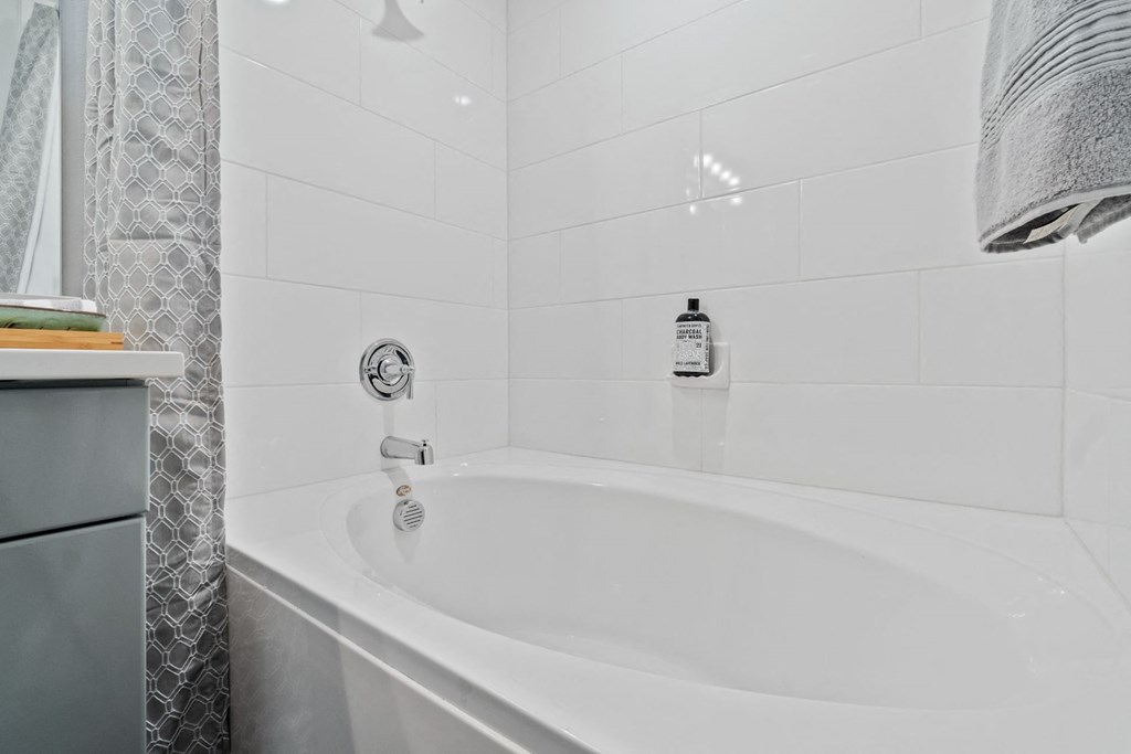 Bathroom tub at Reveal 54, Georgetown, Texas