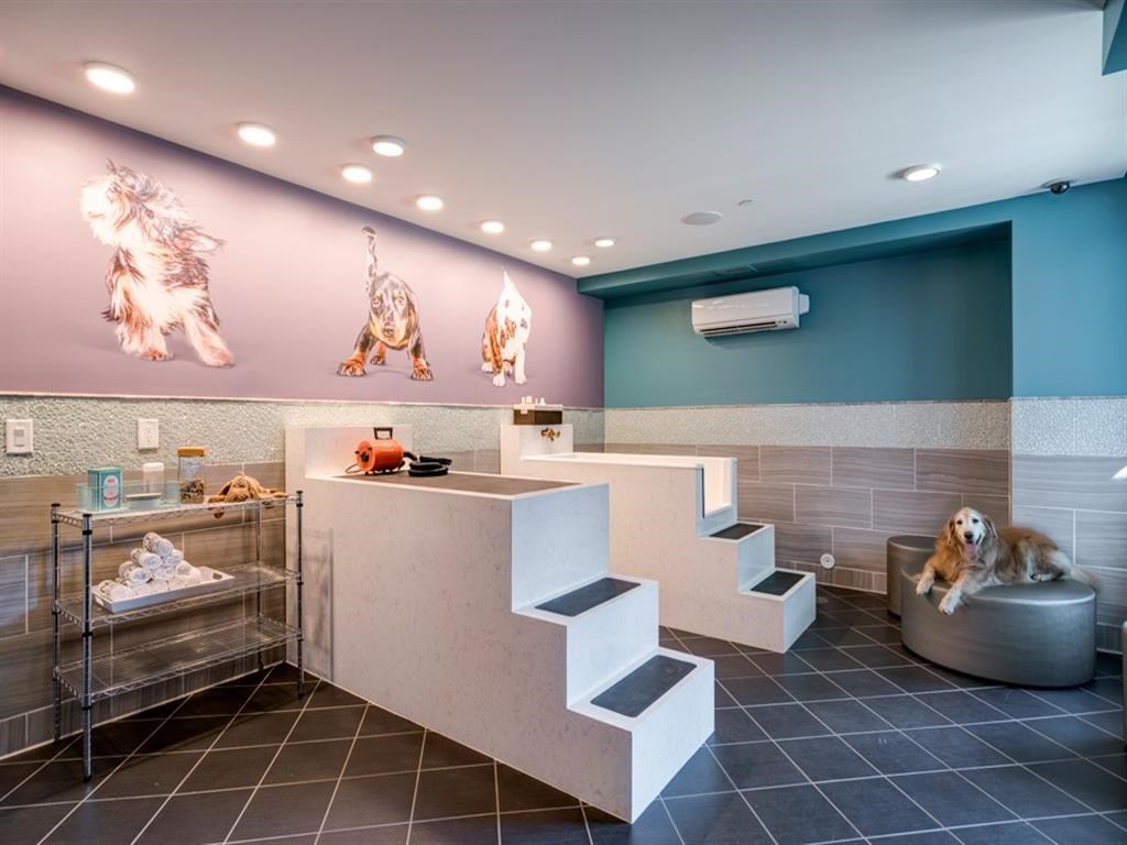 pet friendly dog spa at Berkshire Dilworth, North Carolina