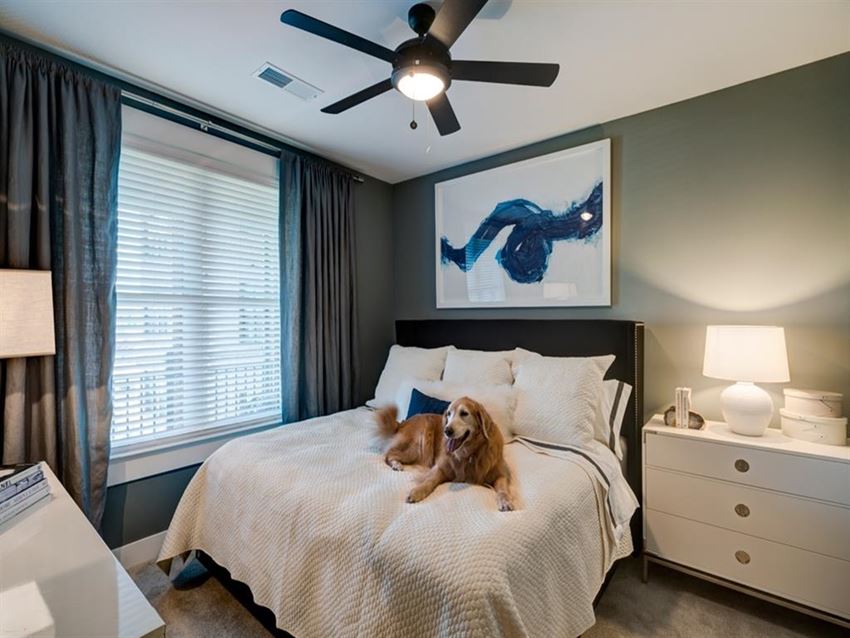 Interiors-Bedroom With Ceiling Fan Bedroom With Ceiling Fan at Berkshire Dilworth, North Carolina