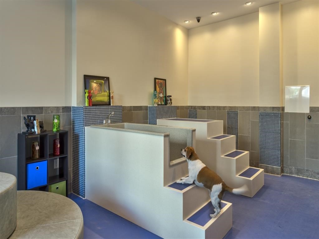 Pet Friendly Dog Spa at Berkshire Main Street, North Carolina