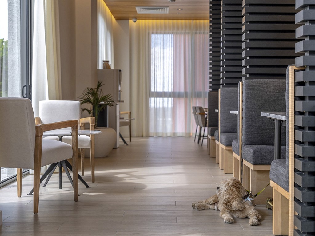 a dog laying on the floor in a room with tables and chairs