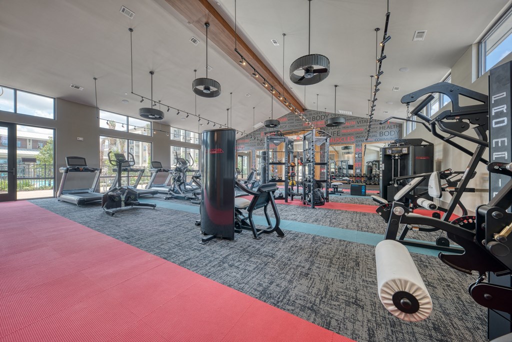 Fitness Center With Modern Equipment at Retreat at the Rim, San Antonio, Texas