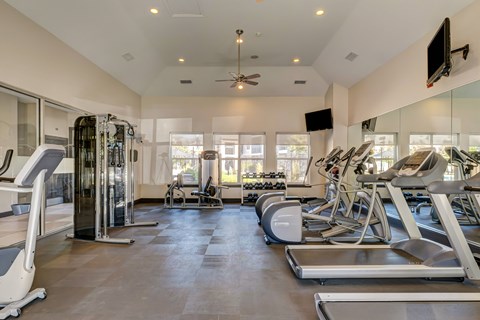 A spacious gym with treadmills, elliptical machines, and a television.