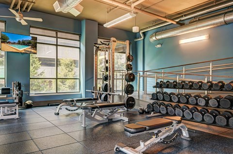 A gym with a variety of equipment including weights and a flat screen TV.