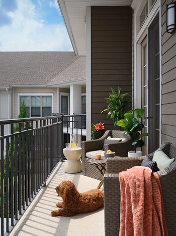 A dog is sitting on a patio with a chair and a table.