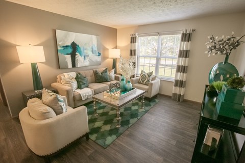 A living room with a white couch and a green and white rug.
