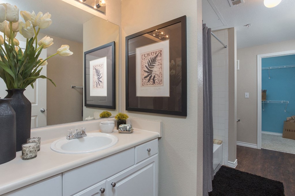 Luxurious Bathrooms at Stoneleigh on Spring Creek, Garland, 75044