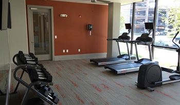 Cardio Machines In Gym at Artisan on 18th, Tennessee