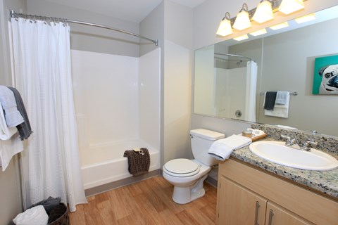 A bathroom with a toilet, sink, and shower.