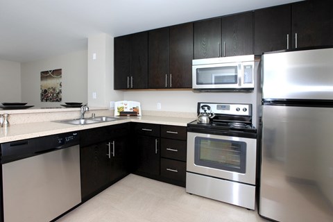 A kitchen with black cabinets and stainless steel appliances.