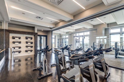 A gym with a row of treadmills and elliptical machines.at The Ivy apartments