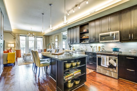 luxury kitchen at The Ivy apartments in Houston