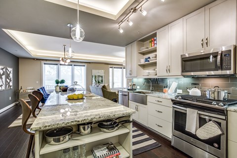 expansive luxury kitchen at The Ivy Houston apartments