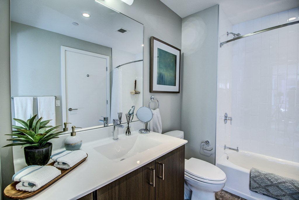 Luxurious Bathrooms at Via Seaport Residences, Boston, MA