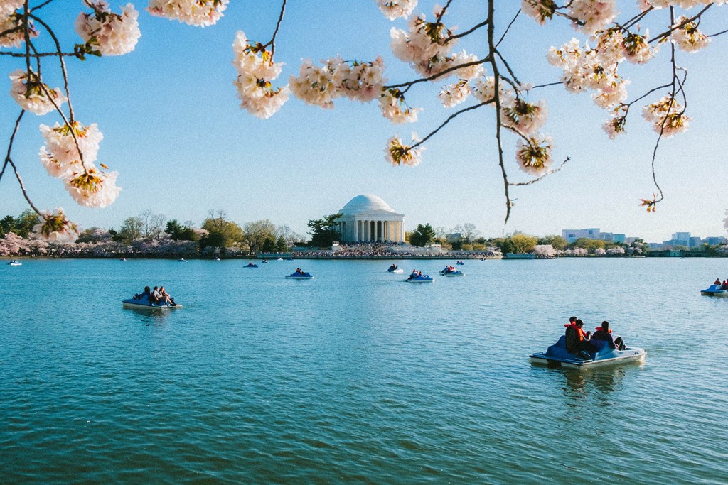people on boats on a lake in front of the jefferson memorial