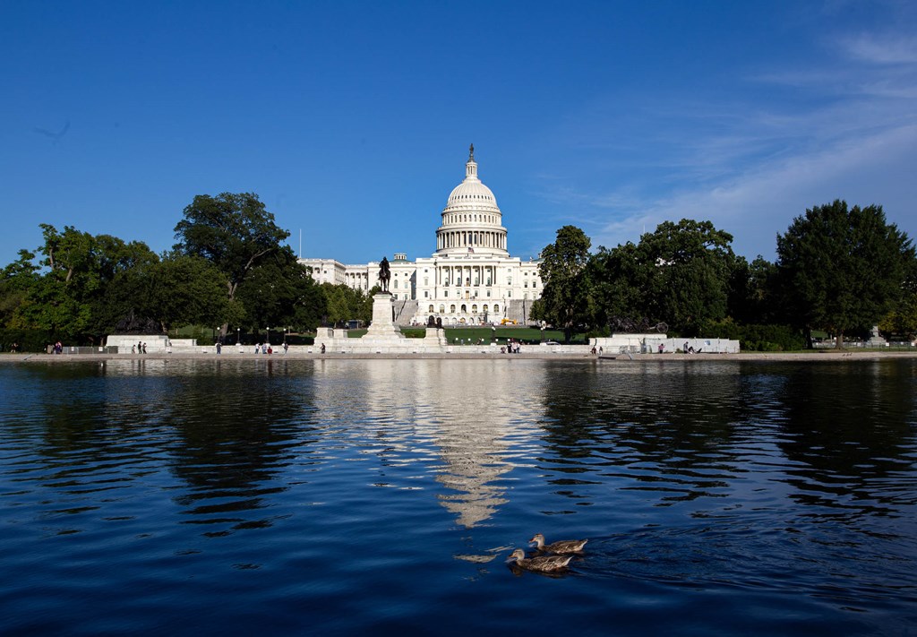 a view of the capitol building from the reflecting pool