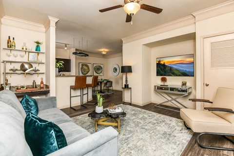 A living room with a grey couch and a television.
