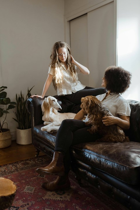A woman is sitting on a couch with two dogs.