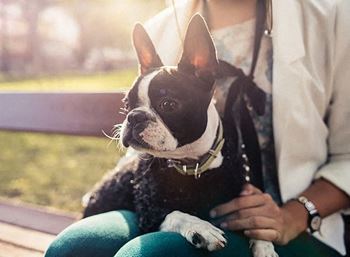 Pet-Friendly Apartments at Berkshire 15, Washington