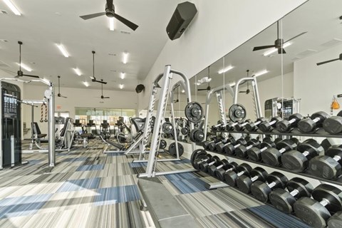 Free Weights In Gym at Reveal 54, Georgetown, Texas