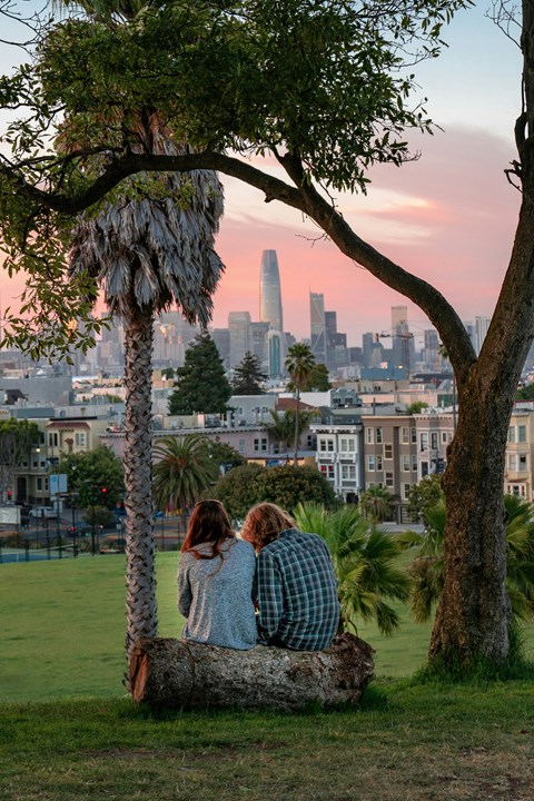 Two people sitting on a tree trunk looking at the city skyline.