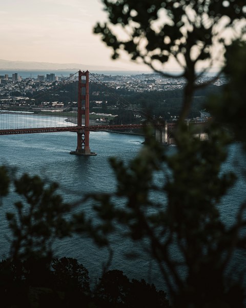 A view of the Golden Gate Bridge from a distance with trees in the foreground.
