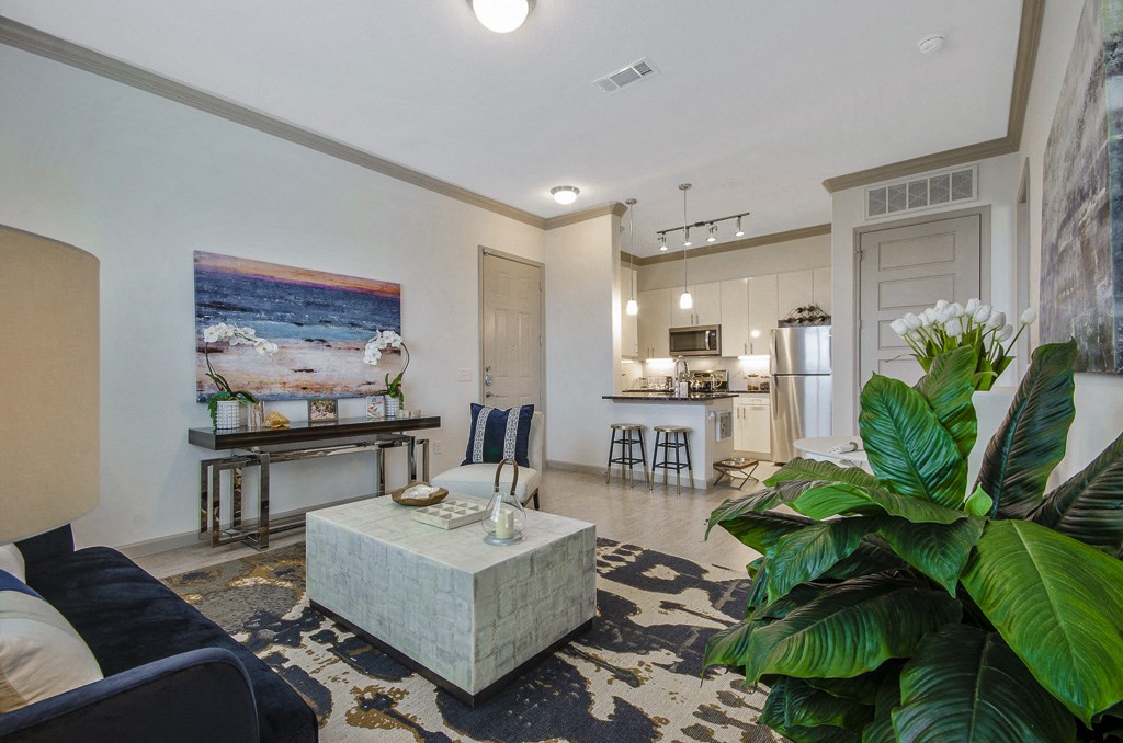 Indoor plants in living room at Park at Bayside, Texas, 75088