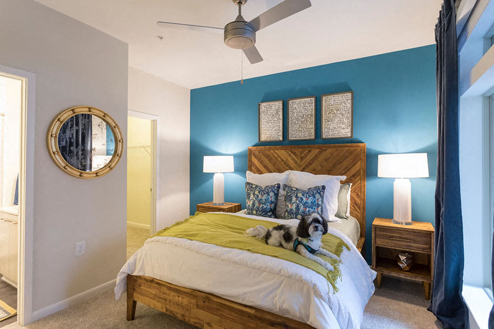 Pets are welcome at our luxury apartments in Chapel Hill