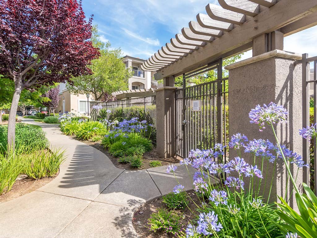 Lush landscape entry to pool