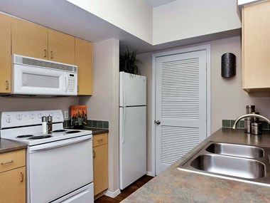 121 West Portland Street Studio-2 Beds Apartment for Rent - Photo Gallery 5