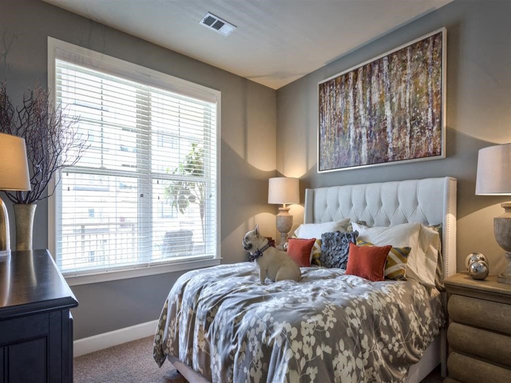 Beautiful Bright Bedroom With Wide Windows at Berkshire Village District, North Carolina