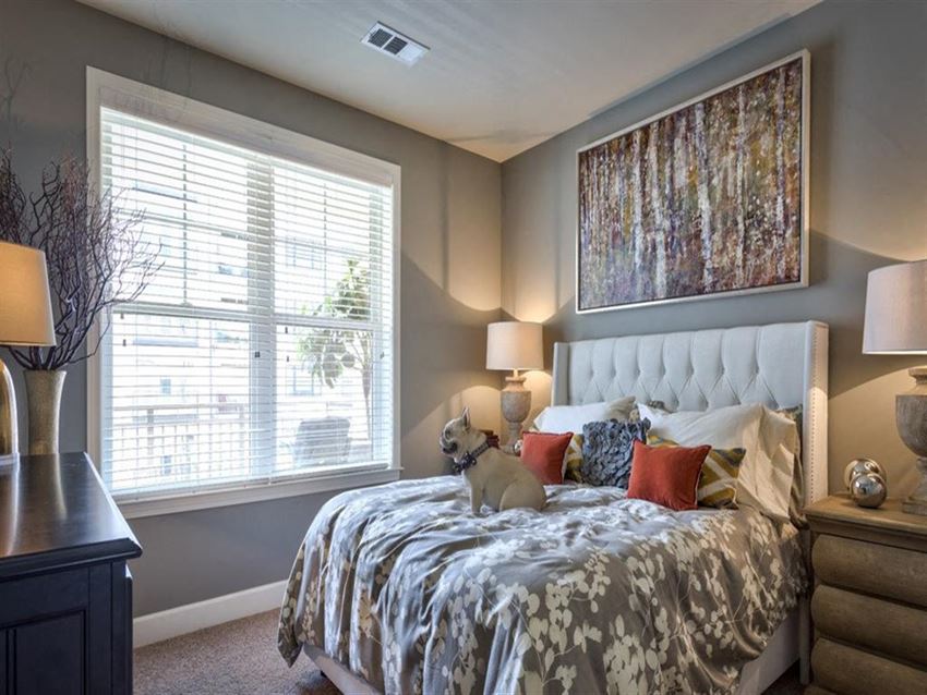 Interiors-Beautiful Bright Bedroom With Wide Windows Beautiful Bright Bedroom With Wide Windows at Berkshire Village District, North Carolina - Photo Gallery