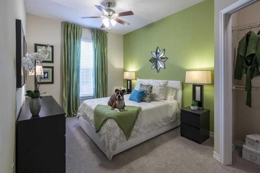 Beautiful Bright Bedroom With Wide Windows at Wyndchase Aspen Grove, Franklin