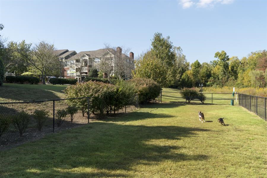 Dog Park at Wyndchase Aspen Grove, Franklin, Tennessee