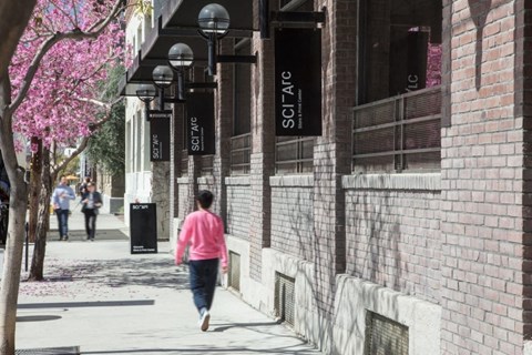 A person in a pink shirt is walking down a sidewalk lined with trees and buildings.