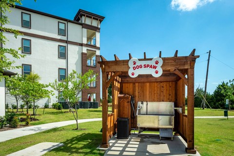 Dog Spaw at Berkshire Spring Creek, Garland, 75044