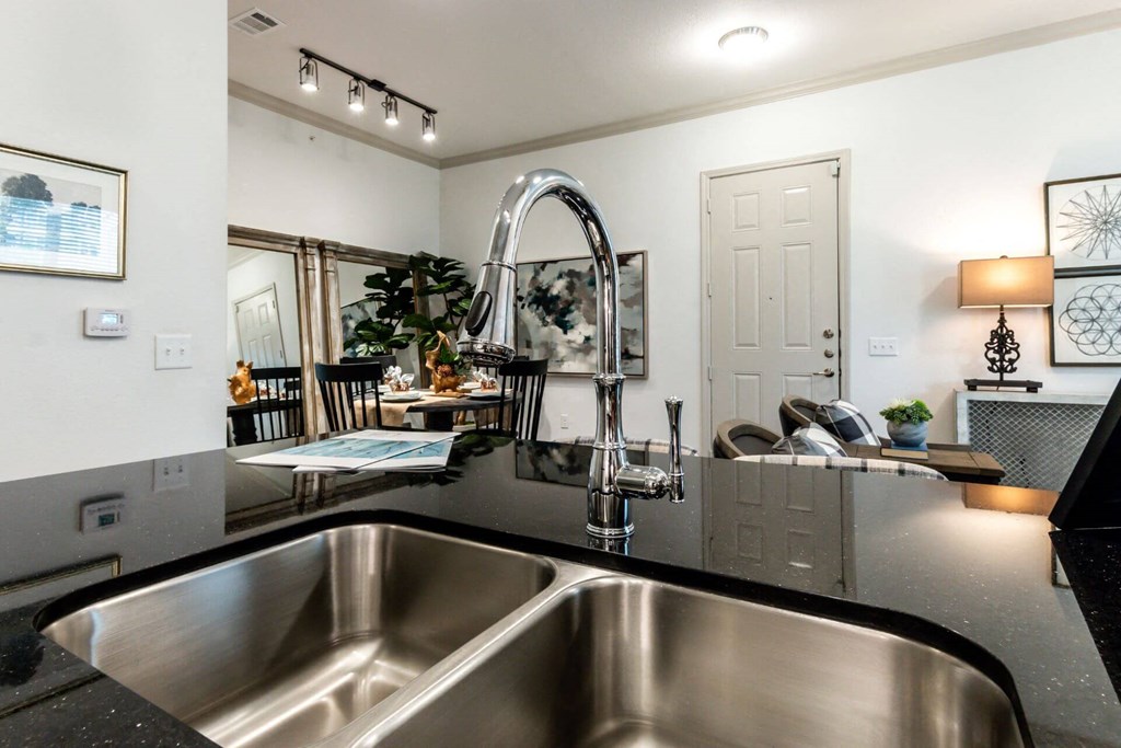 Stainless Steel Sink With Faucet at Berkshire Creekside, New Braunfels, Texas