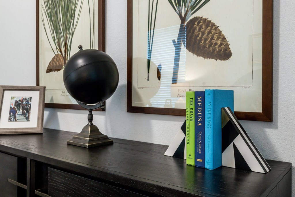 Book Rack at Berkshire Creekside, New Braunfels, TX, 78130