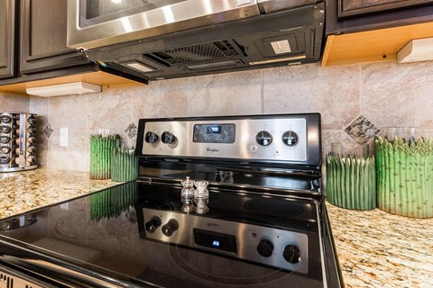 Kitchen Appliance at Villages of Briggs Ranch, San Antonio, 78245