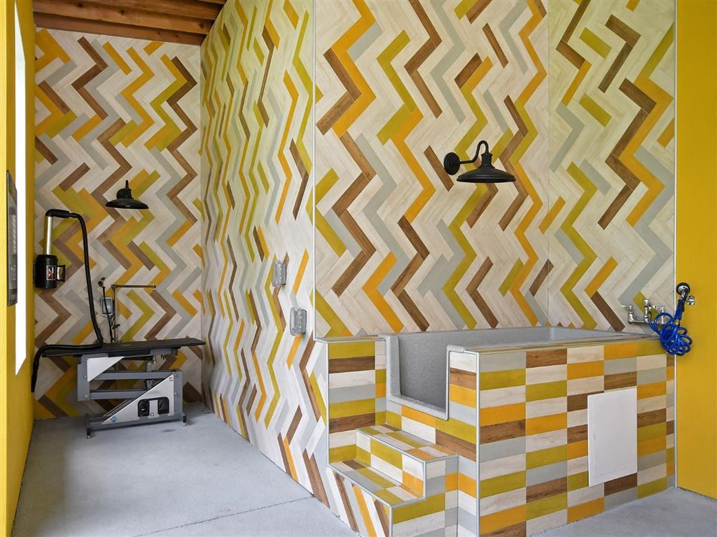 Pet Spa & Grooming Station at Berkshire Winter Park, Florida, 32789