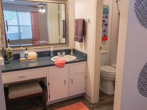 Luxurious Bathroom at Saw Mill Village Apartments, Columbus, Ohio