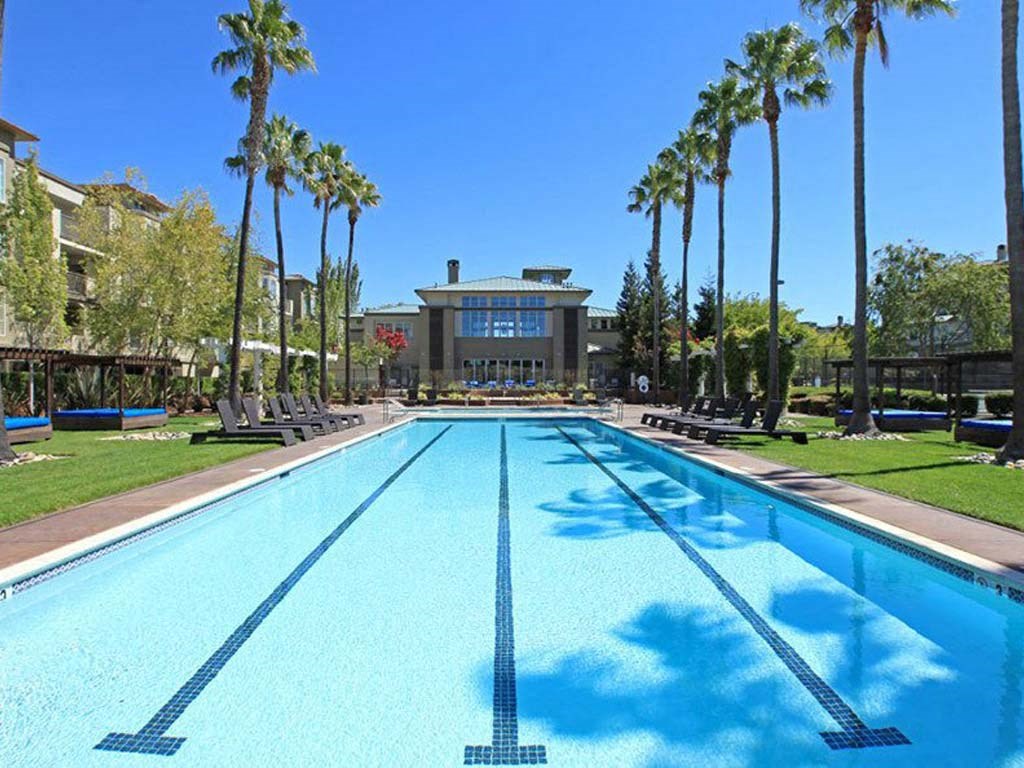 a large swimming pool with palm trees around it
