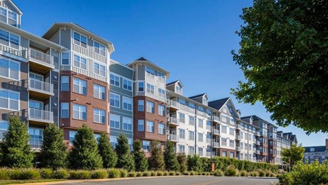 a view from outside Reveal Hackensack apartments and surrounding trees